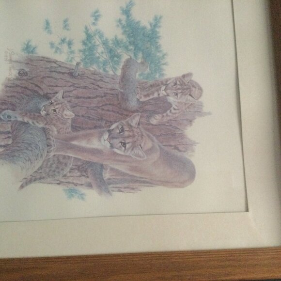 Vintage J Sharkey Thomas 1979 art print tiger and cubs in solid wooden frame - Picture 8 of 9